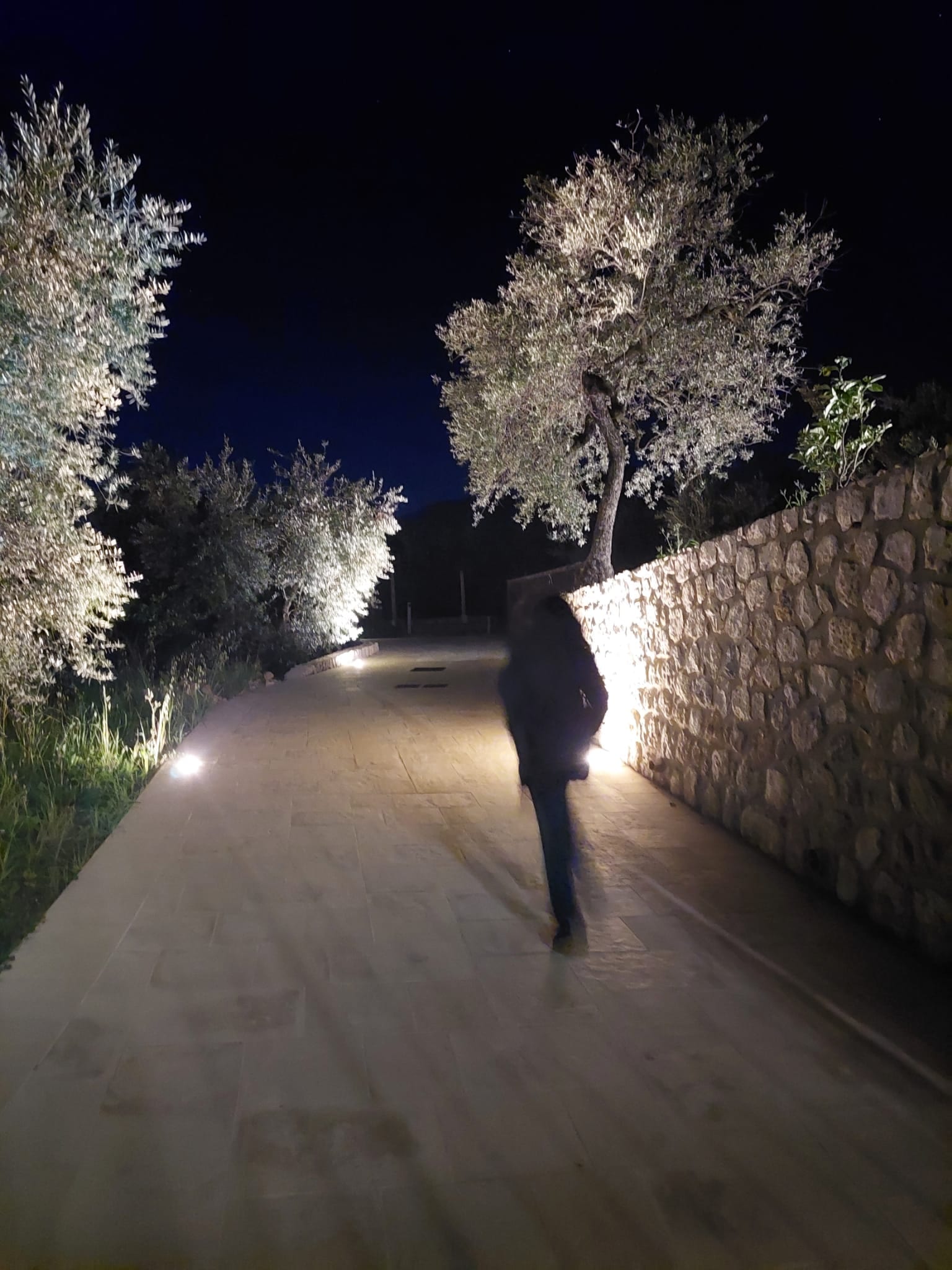 Golfo di Gaeta, gradonate e vegetazione mediterranea